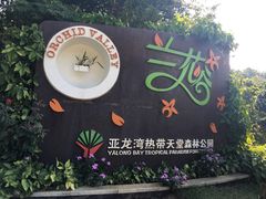 -亚龙湾热带天堂森林公园