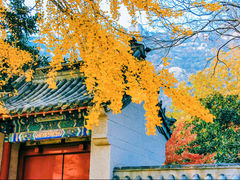 -青岛崂山太清宫
