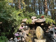 -上海醉白池公园