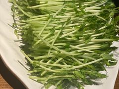 -盡膳口福跷脚牛肉火锅(北美新天地店)