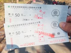 -合肥滨湖国家森林公园