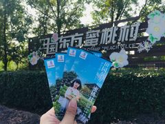 -田园东方蜜桃村的田野营地