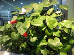 -振生清真饭店(永安道店)