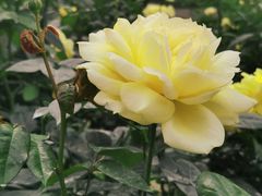 -人民公园(罗湖区)