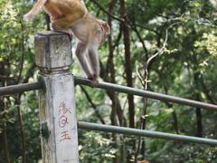 -黔灵山公园