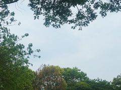 -长兴太湖图影湿地文化园