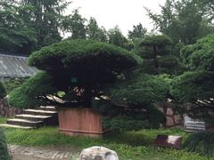 -水绘园