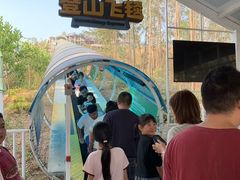 -盈香心动乐园