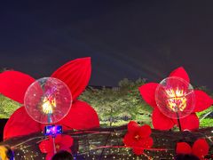 -海心沙亚运公园
