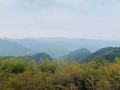 -莫干山风景区