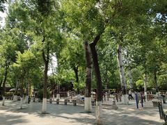 -莲湖公园