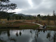 -中山市树木园