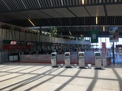 -西沃古尔·拉姆古兰爵士国际机场