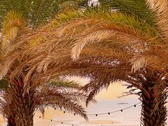 -巨鹏飞梦幻海岸