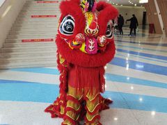 -重庆国际马戏城