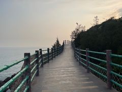 -广东惠东海龟国家级自然保护区