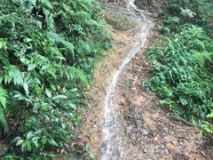 -杭州半山国家森林公园