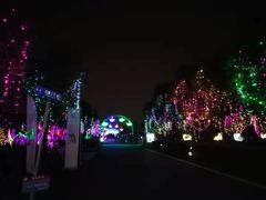 -菊园百果园