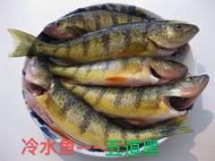 -渔公馆·川菜馆·家宴·生日宴(大地中央广场店)