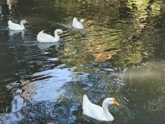 -兰亭风景区