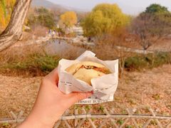 -北京西山国家森林公园