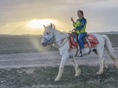 -清真益鑫羊肉手抓馆(南大街店)