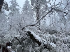 -瓦屋山景区