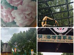 -上海海湾国家森林公园