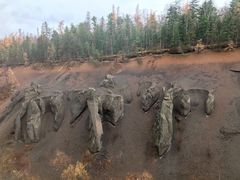 -峡谷浮石林景区