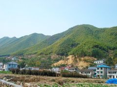 -1982农场