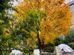 -中家鑫园温泉酒店鑫悦汤泉