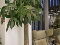 -WeWork中国(三里屯11号社区店)