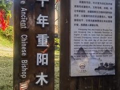 -蔡家宅