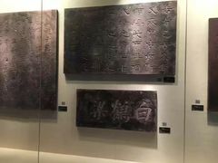 -白鹤梁水下博物馆
