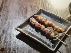 横隔膜-串鑫