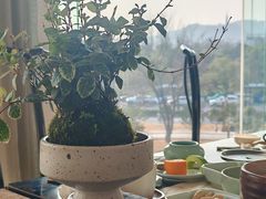 -青藤茶馆(凤起路店)