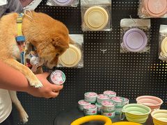 -蜀大侠火锅(总府路全国总店)