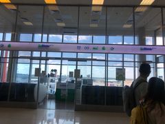 -谢列梅捷沃国际机场