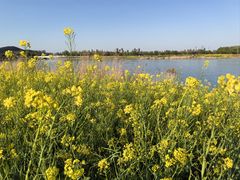 -云龙湖旅游景区