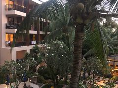 -普吉岛卡塔阿维斯塔诺富特酒店度假村