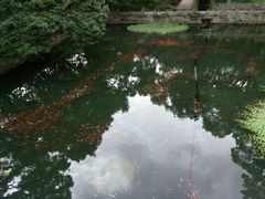 -普陀山风景名胜区-法雨禅寺
