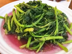 -海金滋(陕西南路店)