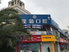 -茂菊口腔连锁(浦东南路店)