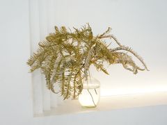-皮市街