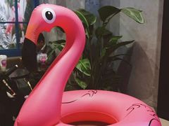 -Flamingo Bloom(TST /尖沙咀店)