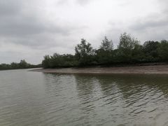 -东寨港红树林旅游区