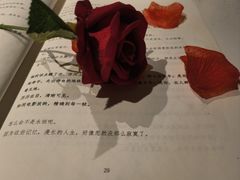 -剧狐剧本杀·月球探案馆(人民广场1号店)