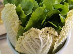 -墨脱石锅椰子鸡•香草鸭•东山羊(大东海店)