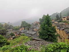 -杨家堂村