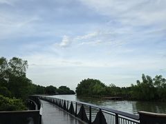 -东寨港红树林旅游区